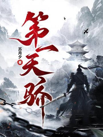 第一天骄林昊境界划分