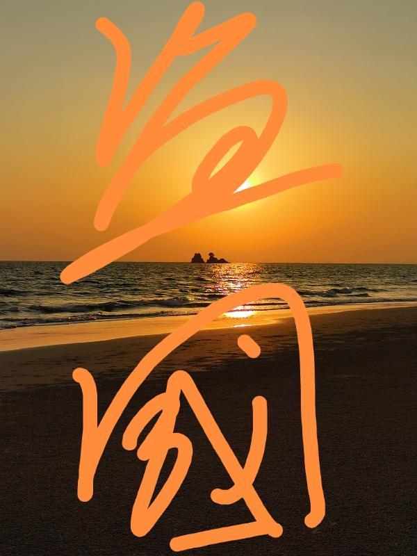 空间重生盛宠在九零txt书包网